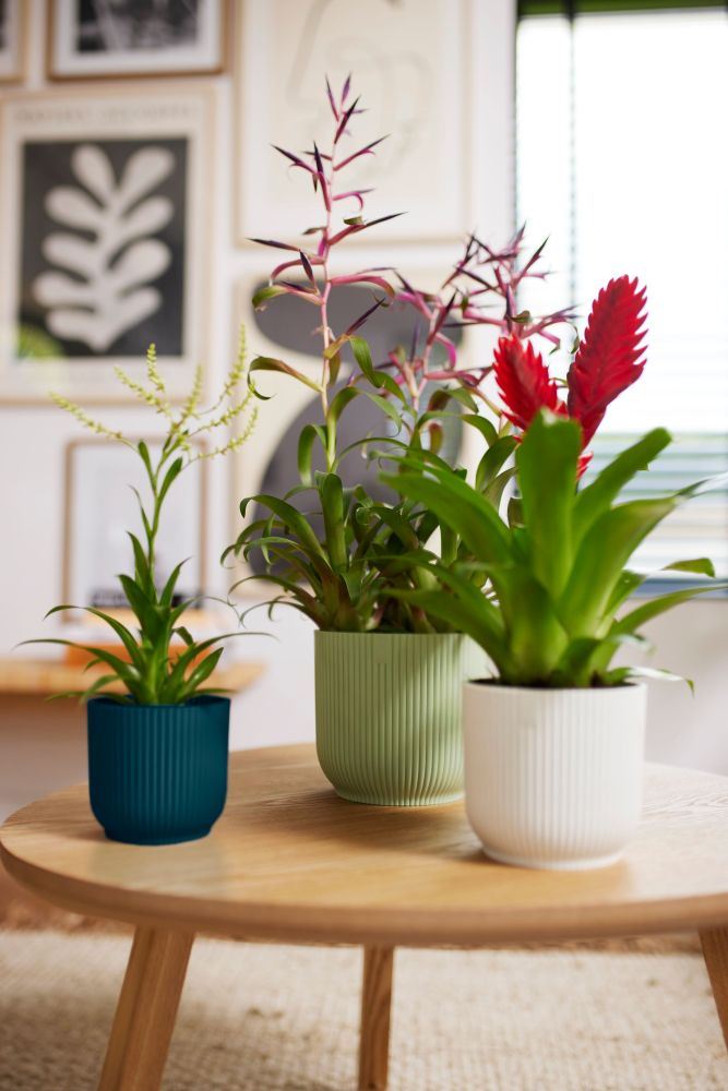 elho Vibes Fold Rond 16 - Zijdewit (Wit) - Ø 16 x H 15 cm - Ideaal