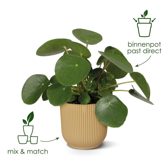 elho Vibes Fold Rond 18 - Botergeel (Geel) - Ø 18 x H 17 cm - Ideaal