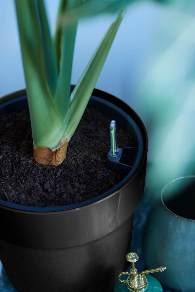 elho B.for Original Rond 30 - Living black (Zwart) - Ø 30 x H 27 cm -