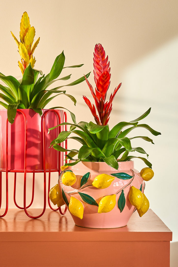 Mica Decorations Dione Bloempot op Standaard - Set van 2