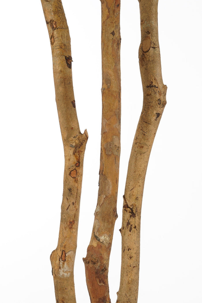 Mica Decorations Vingerplant Kunstplant - H150 x  Ø70 cm - Groen