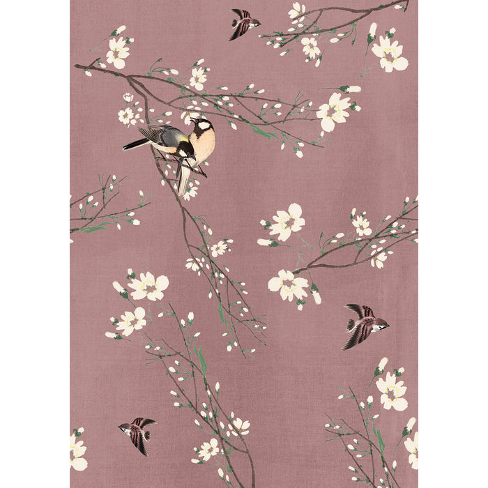 Art for the Home Fotobehang - Birds & Blossom - 200x280