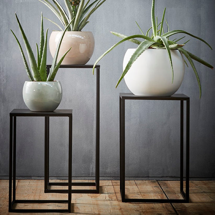 207009-x5.jpg (1129811) 