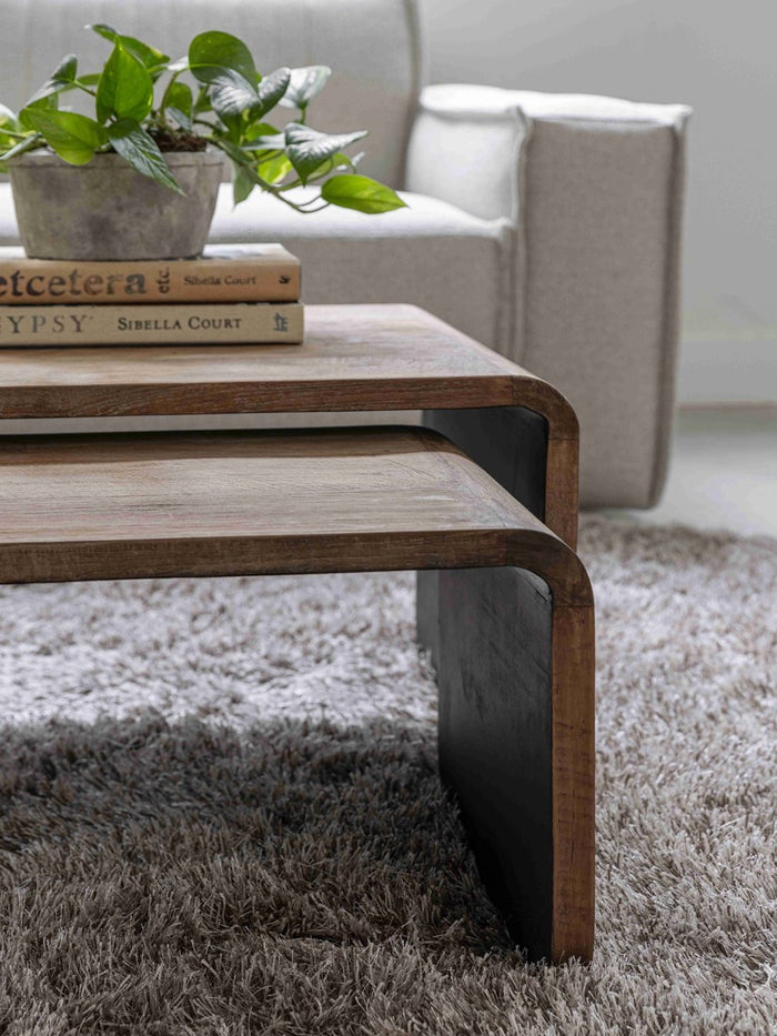 DTP Home Coffee table Evo,30x95x40 cm | 35x110x50 cm,  recycled tea...