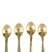 J-Line lepel Messing - brass - goud - doos van 4