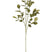 J-Line decoratie tak Bladeren Eva - kunststof - groen
