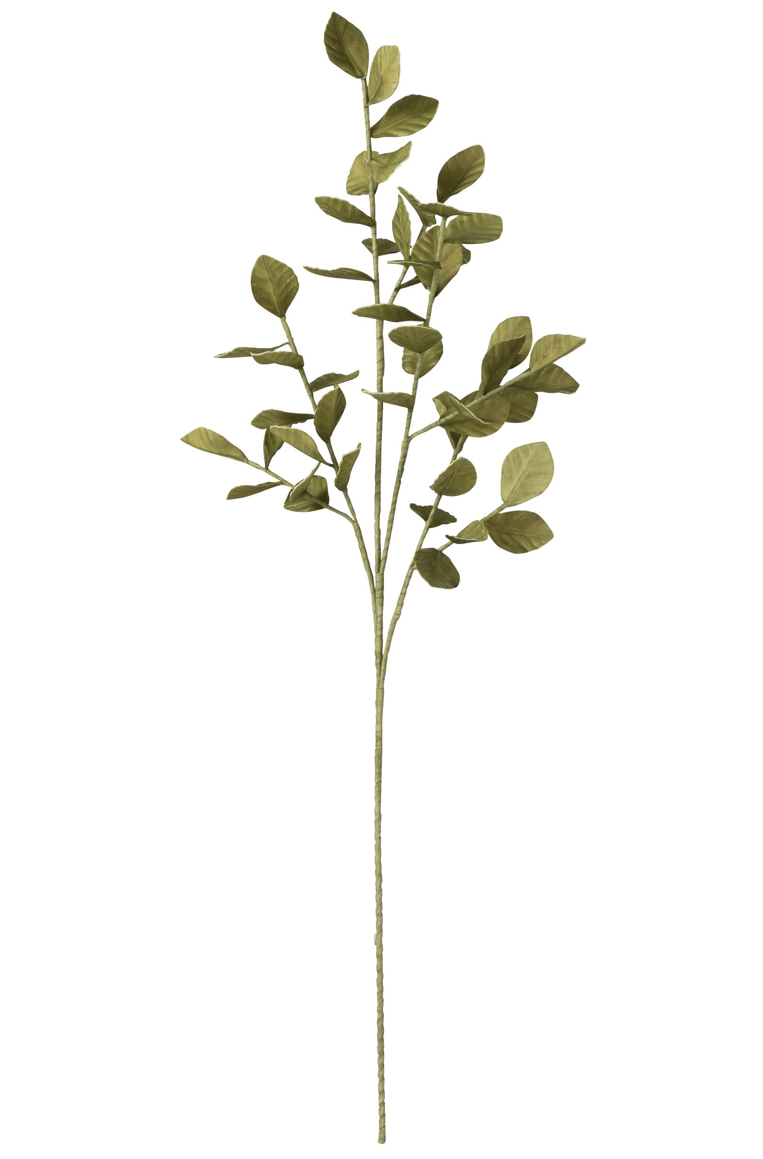 J-Line decoratie tak Bladeren Eva - kunststof - groen