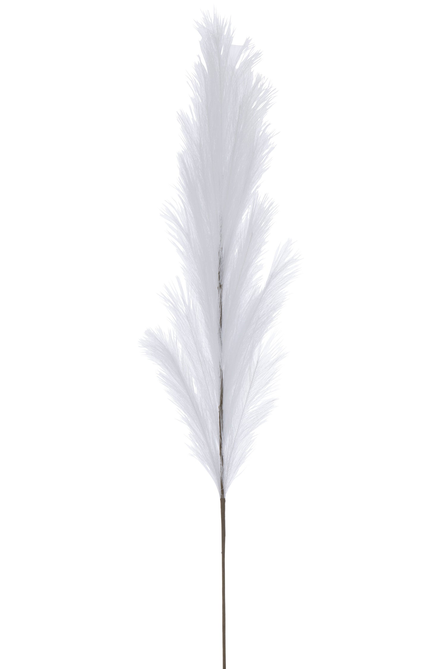 J-Line decoratie tak Plumeau - kunststof - wit - large