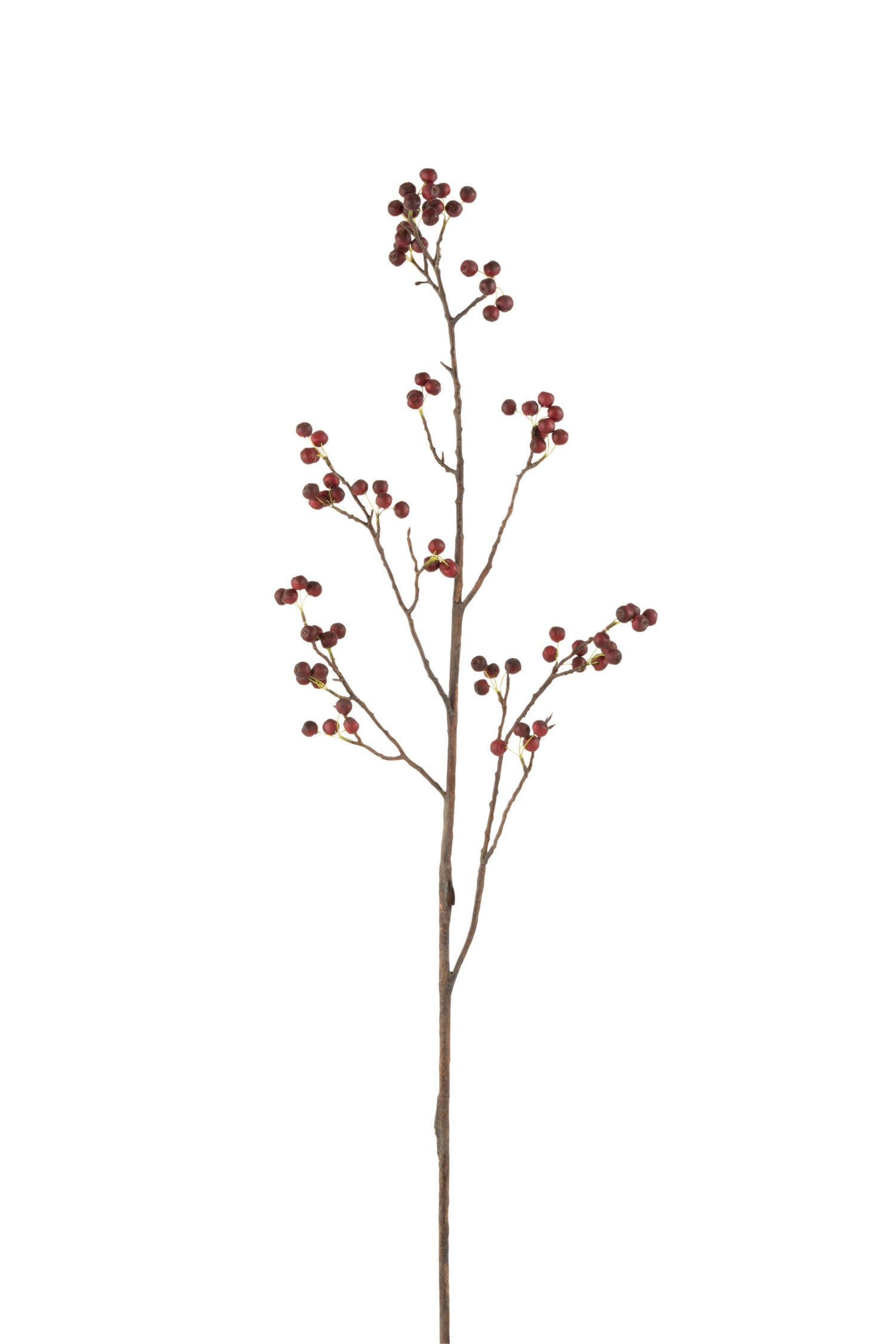 J-Line decoratie tak Bessen Fijn - kunststof - rood|groen -