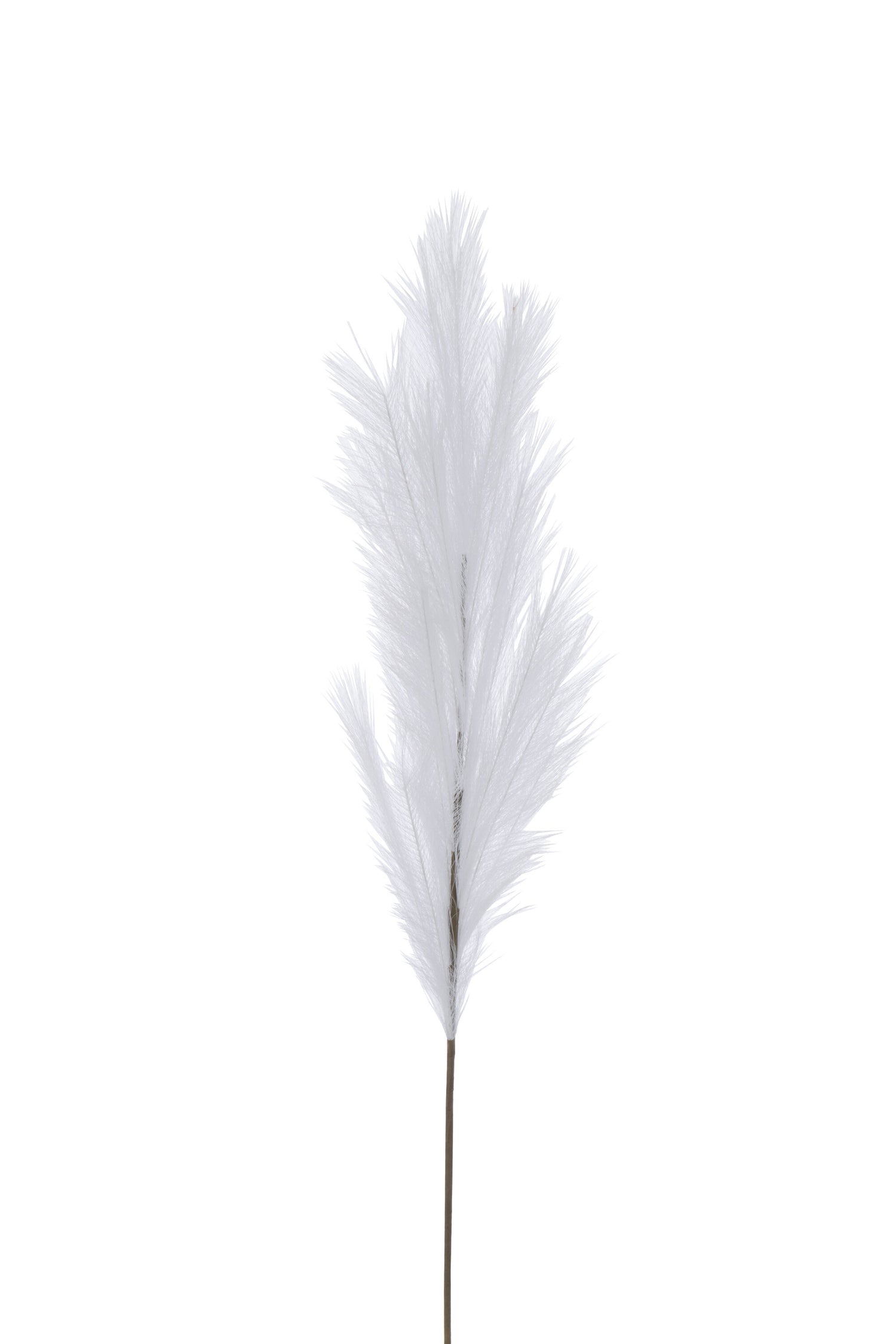 J-Line decoratie tak Plumeau - kunststof - wit - medium