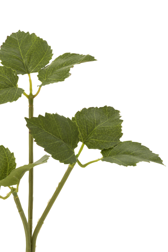 J-Line decoratie tak Hoppe - kunststof - groen - 36 stuks