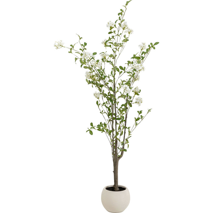 Decoratie plant Plumbago 152cm Kare Design