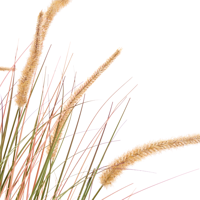 Beliani-BRISTLEGRASS-Kunstplant-Groen|Oranje-120 cm-Synthetisch