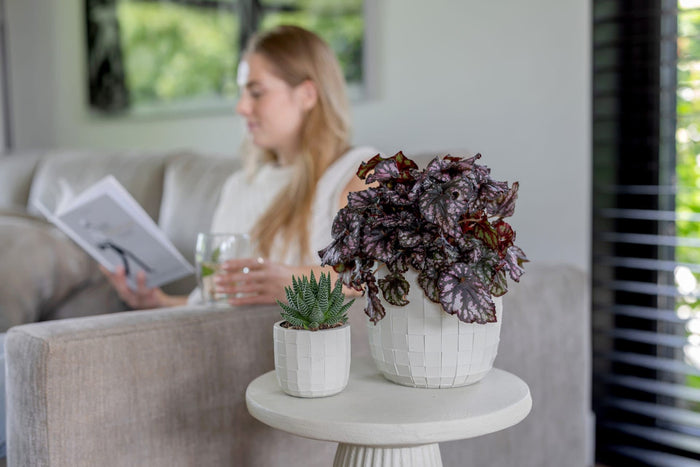 Capi Europe - Pot bol Blocks - 9x8 - Beige