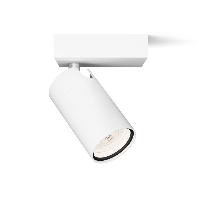 Philips Idris Opbouwspot - Plafondspot Incl. SceneSwitch LED Lamp