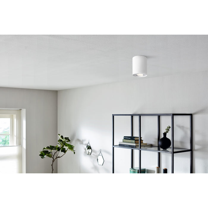 Philips Pillar opbouwspot - 1-lichts