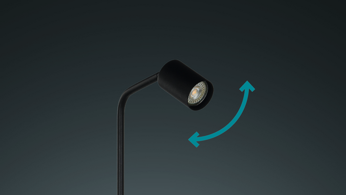 EGLO Rigomagno Vloerlamp - GU10 - H 151 cm - Staal - Zwart