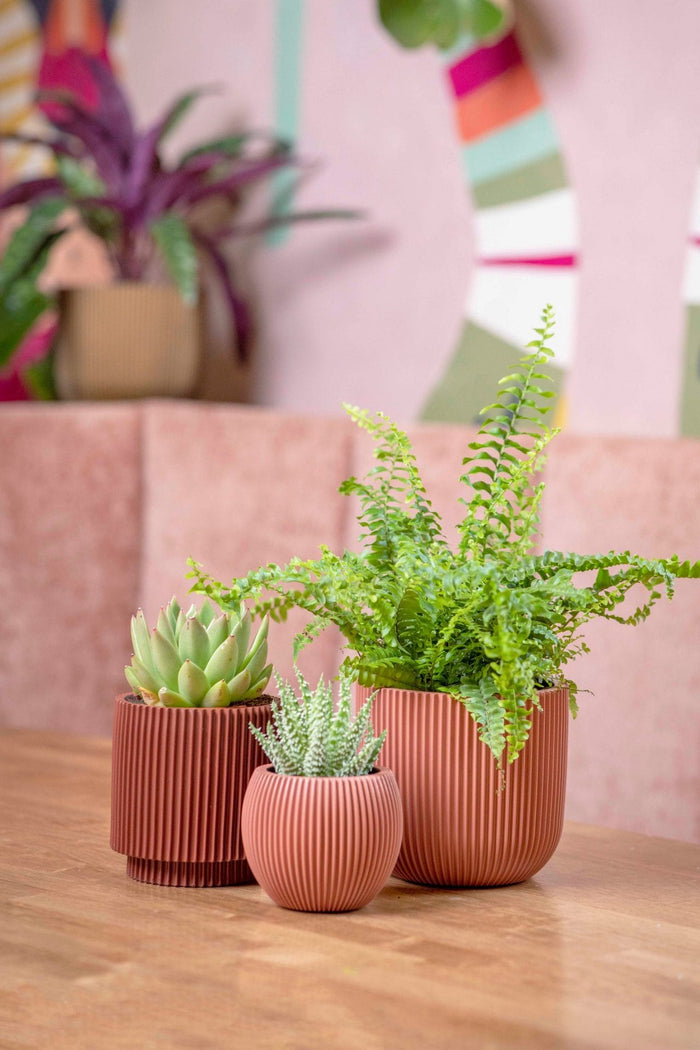 Capi Europe - Pot bol Groove  - 24x21 - Grafietgrijs