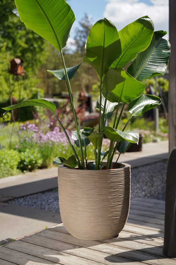 Capi Europe - Pot bol Rib NL - 55x53 - Beige