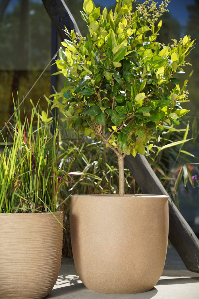 Capi Europe - Pot bol Smooth NL - 43x41 - Beige