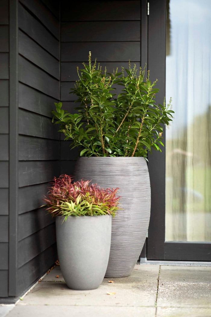 Capi Europe - Vaas elegant laag Smooth NL - 26x36 - Beige