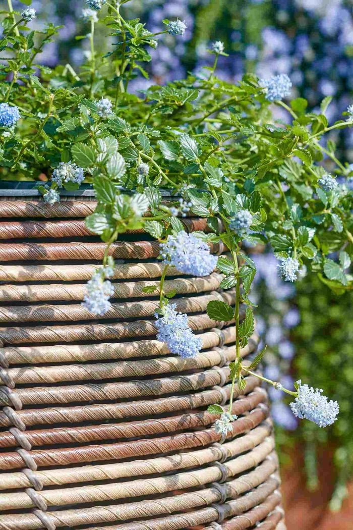 Mica Decorations Bloempot Cancun - 47x47x50 cm - Gerecycled Plastic - Bruin- Set van 3