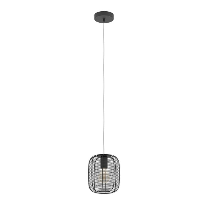 EDI light Rinroe Hanglamp - E27 - Ø 20 cm - 1 lichts - Zwart - Staal