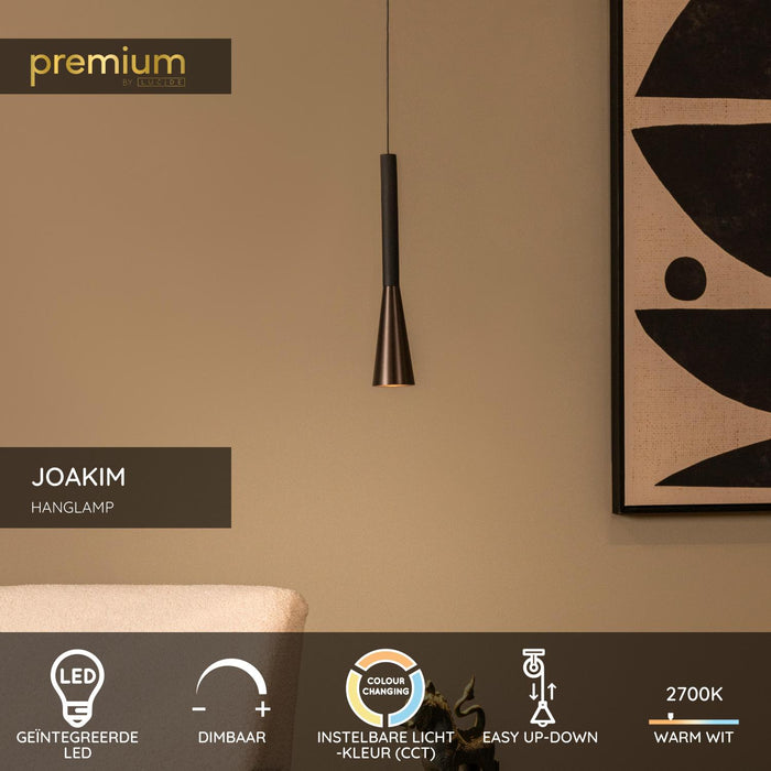 Lucide Premium JOAKIM Hanglamp - Koffie