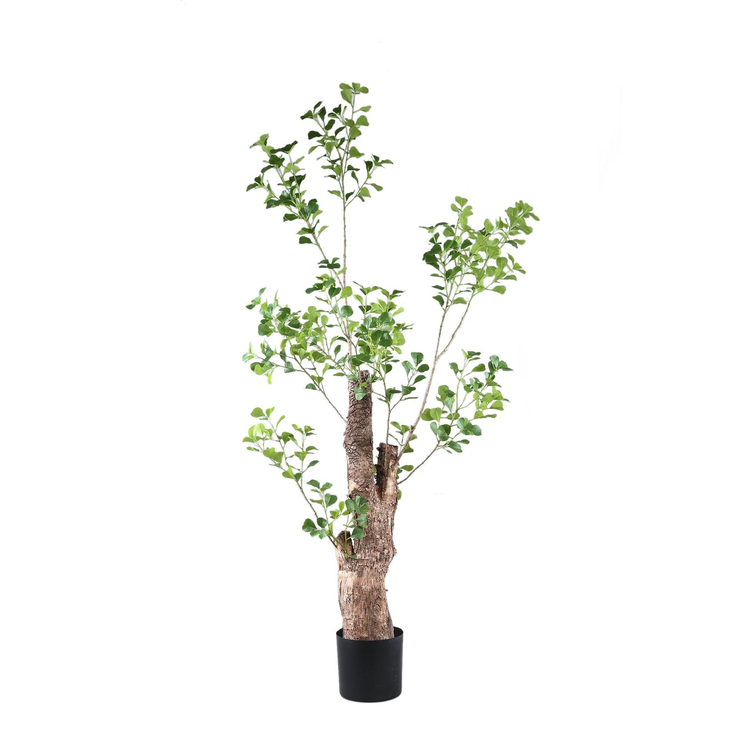 PTMD - Kunstplant Tree - Groen - 80x80x180cm