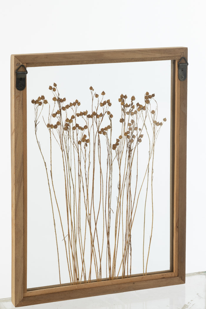 J-Line wanddecoratie Graan - dennenhout|glas - transparant|b