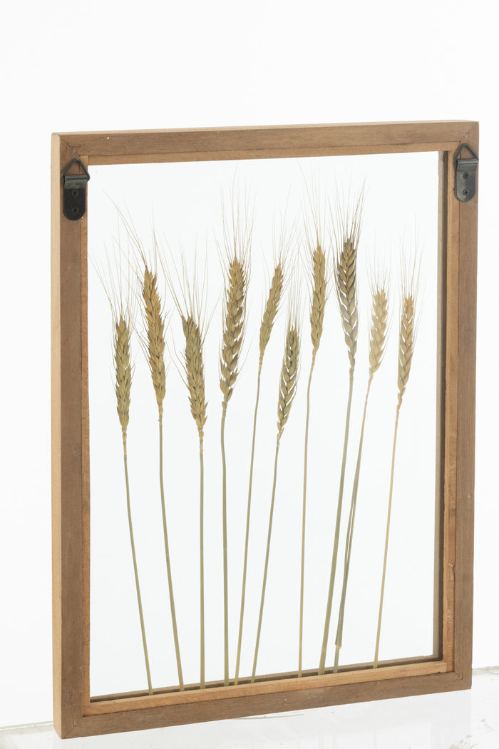 J-Line wanddecoratie Graan - dennenhout|glas - transparant|b