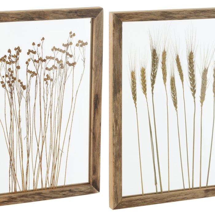 J-Line wanddecoratie Graan - dennenhout|glas - transparant|b