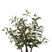 J-Line olijfboom in cement pot - kunststof - groen