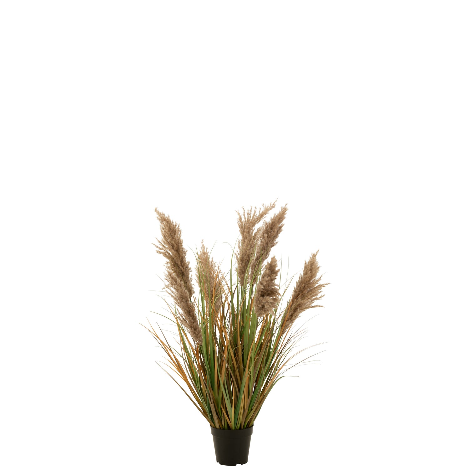 J-Line pampas gras 7 koppen in pot - kunststof - groen|beige - small
