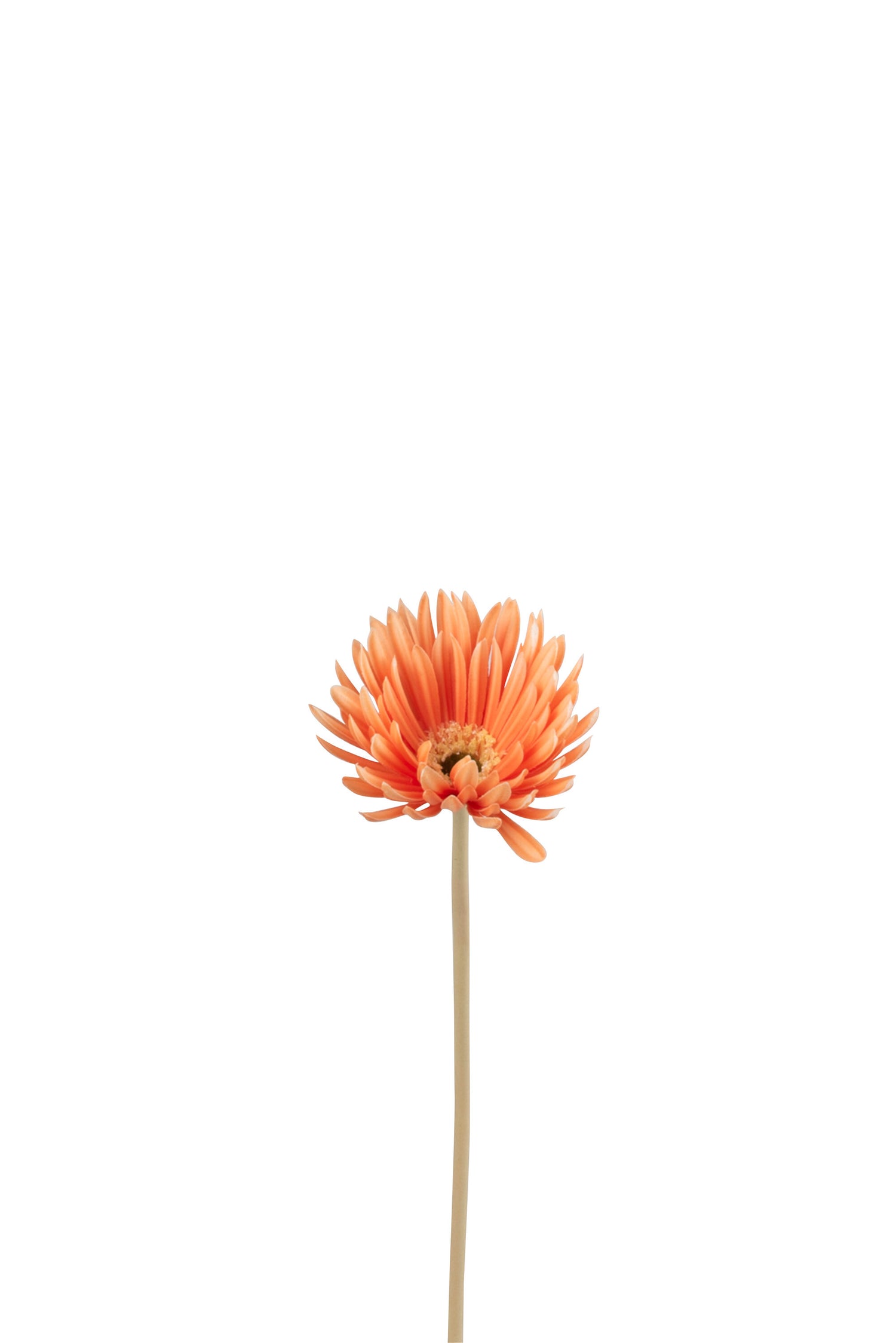 J-Line bloem Gerbera Virgin - kunststof - oranje - 12 stuks