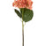 J-Line bloem Hydrangea - textiel - koraal - 12 stuks