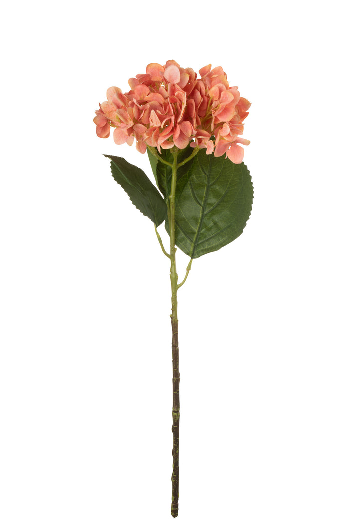 J-Line bloem Hydrangea - textiel - koraal - 12 stuks