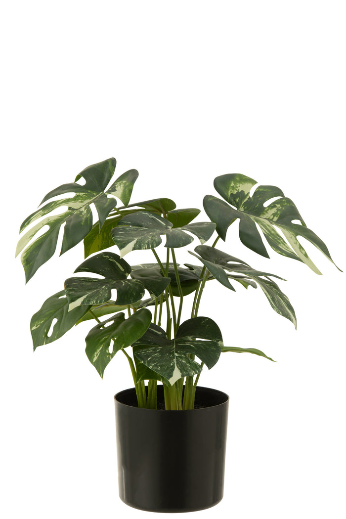 J-Line plant Monstera in pot - kunststof - groen