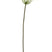 J-Line decoratie tak Bloem Sedum - kunststof - beige - 8 stuks