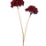 J-Line decoratie Tak 2 Bloemen - kunststof - rood|goud - 12 stuks