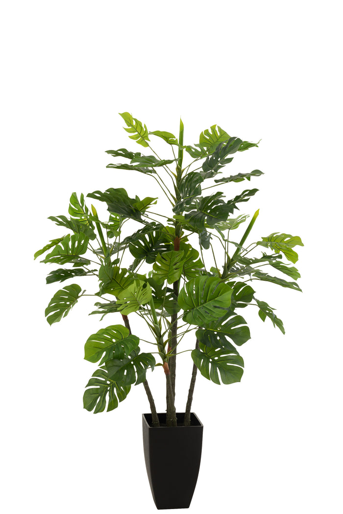 J-Line plant Philodendron In Pot - kunststof - groen - large