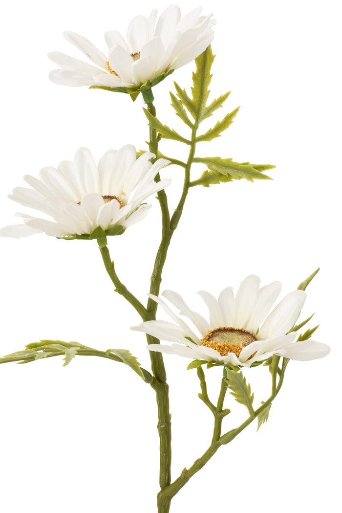 J-Line bloem Madelief  - kunststof - wit - 36 stuks