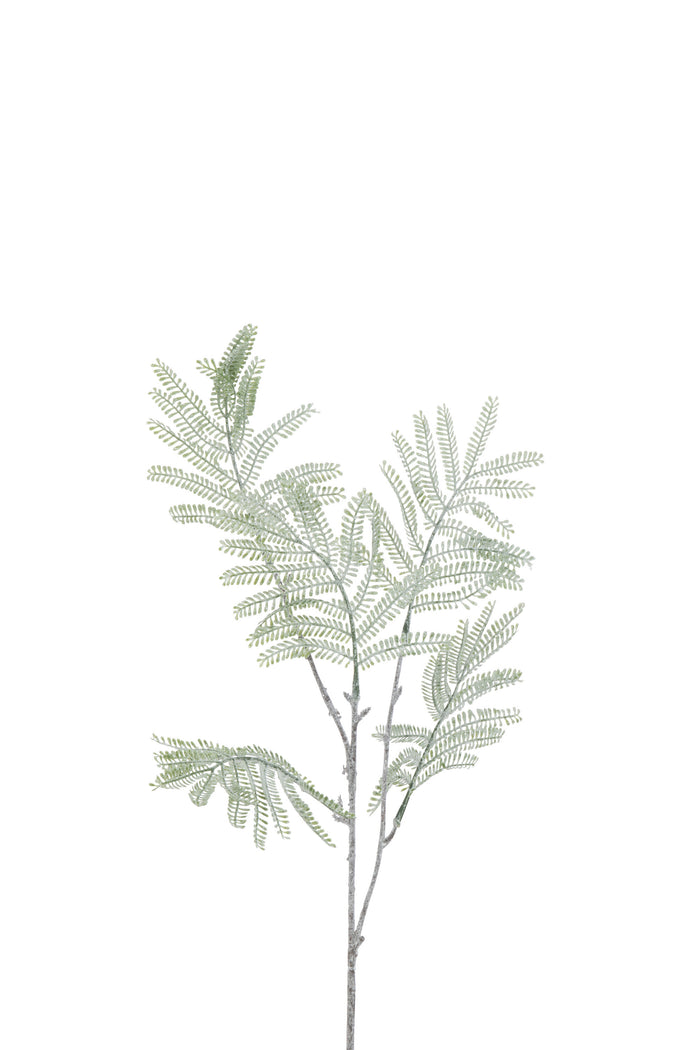 J-Line decoratie Tak Mimosa - kunststof - groen - 12 stuks