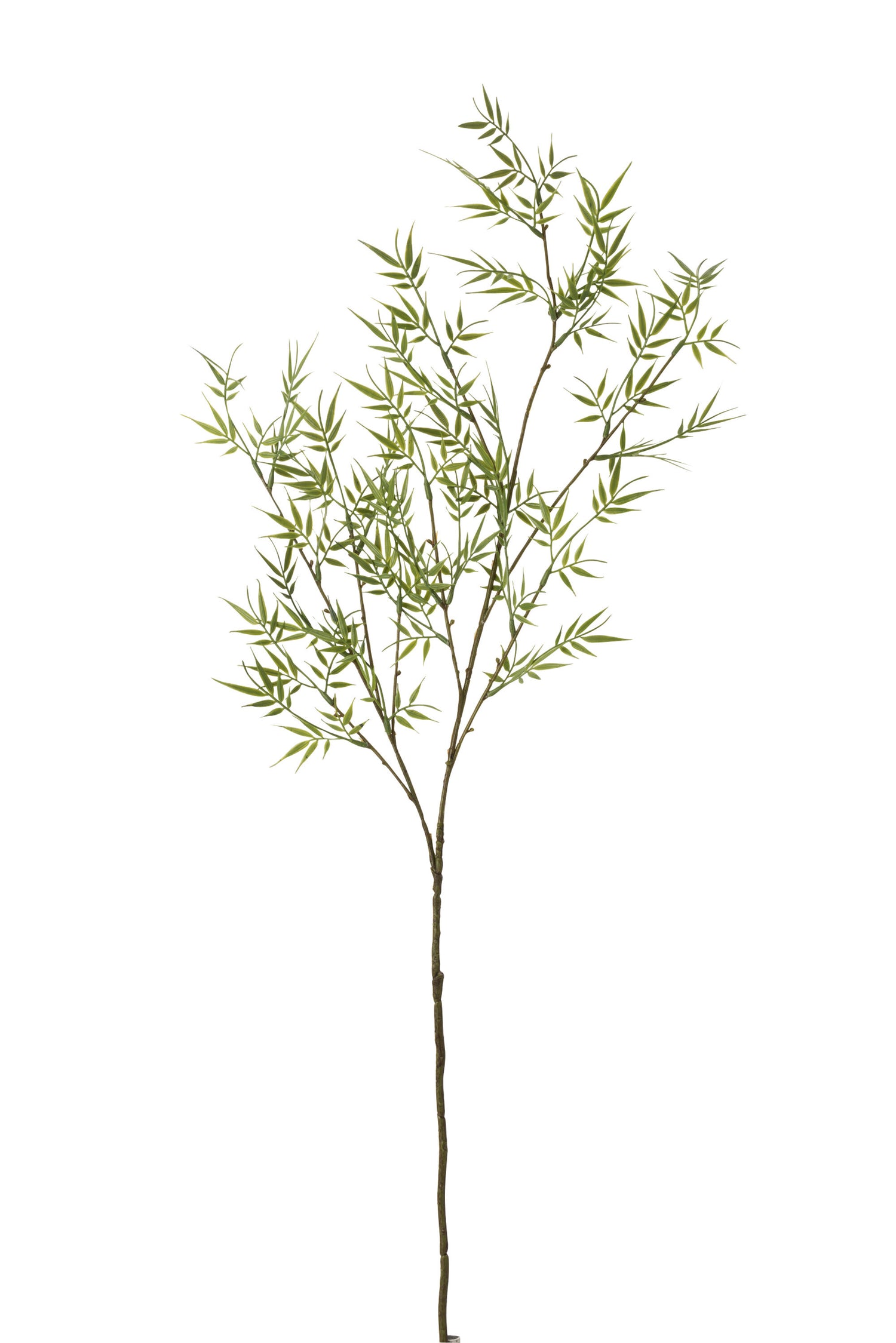 J-Line bamboetak Fijn 3 Delig - kunststof - groen - 12 stuks