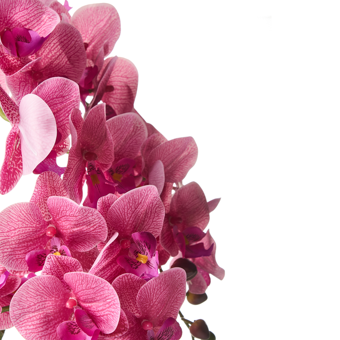 Beliani - ORCHID - Kunstplant - Roze - 65 cm - Synthetisch materiaal