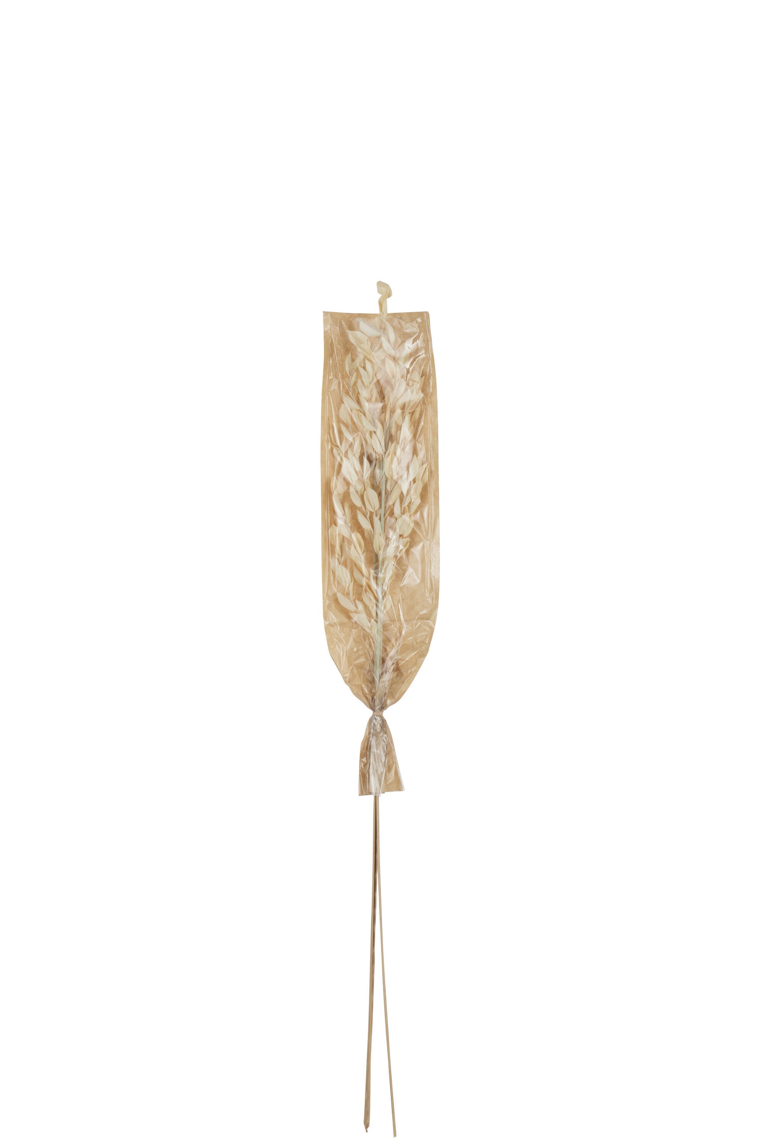 J-Line gedroogde Bladeren - jute - naturel - small