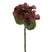 J-Line bloem Hydrangea - kunststof - bruin - small - 12 stuks