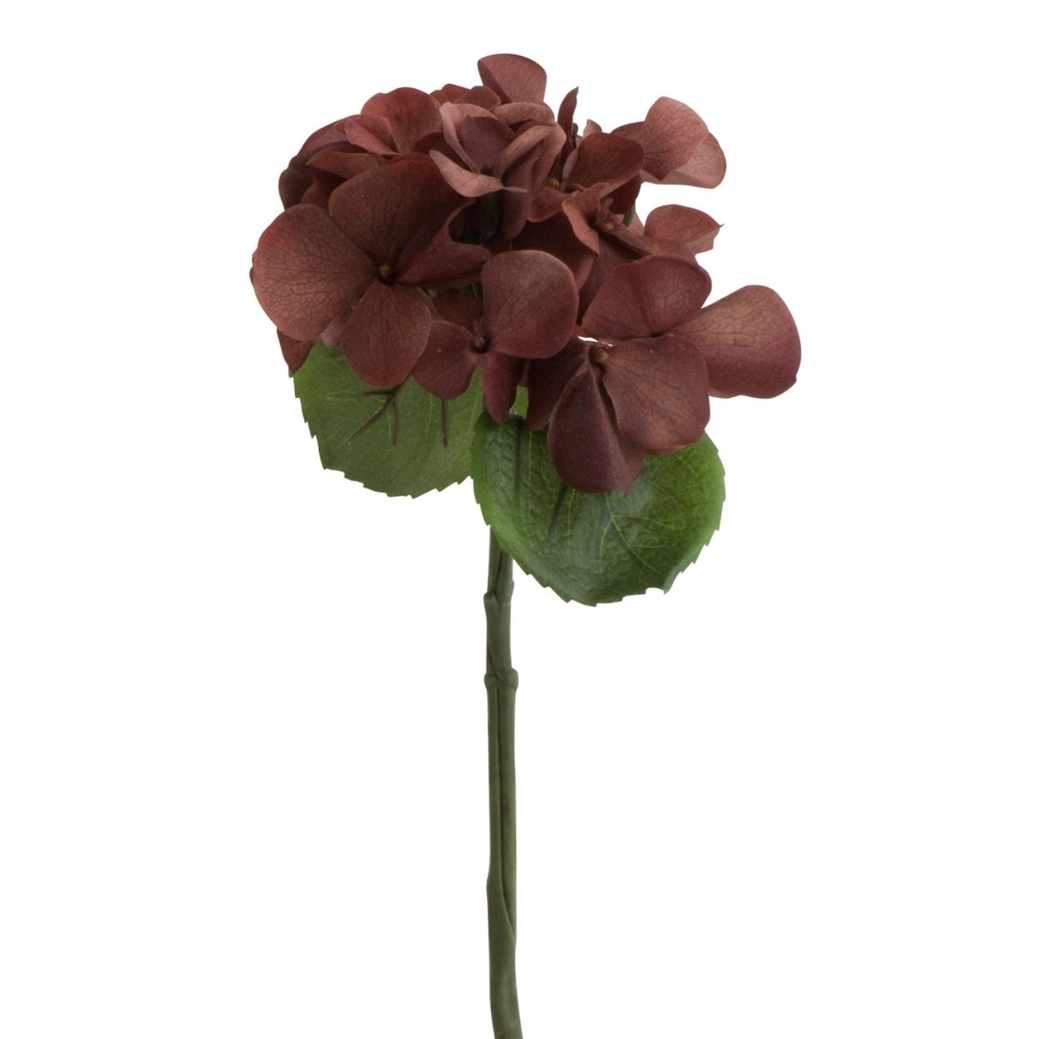 J-Line bloem Hydrangea - kunststof - bruin - small - 12 stuks