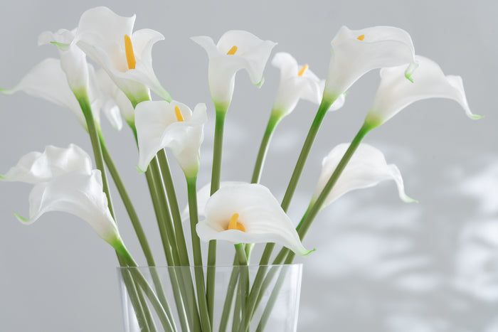 J-Line boeket Calla Lily 8Stuks - kunststof - wit - small - 12 stuks