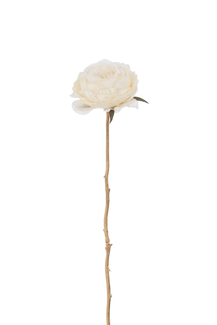 J-Line bloem Roos 1 Stengel - kunststof - creme|goud - 24 stuks